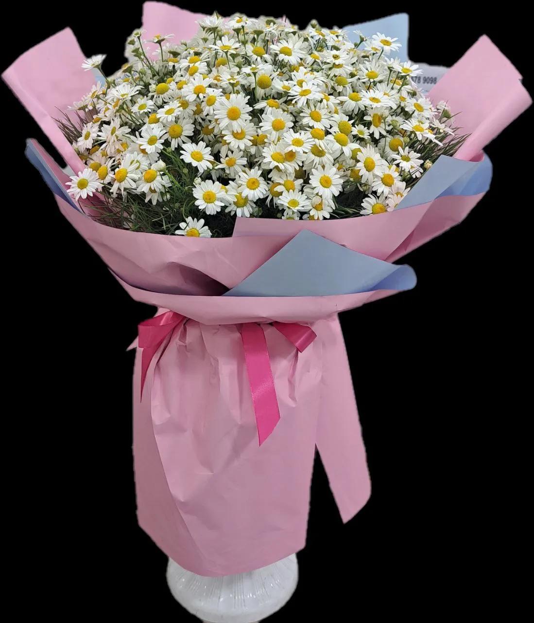 Bunch of chamomiles | ծաղիկներ, ծաղկեպսակներ, բույսեր Երևան