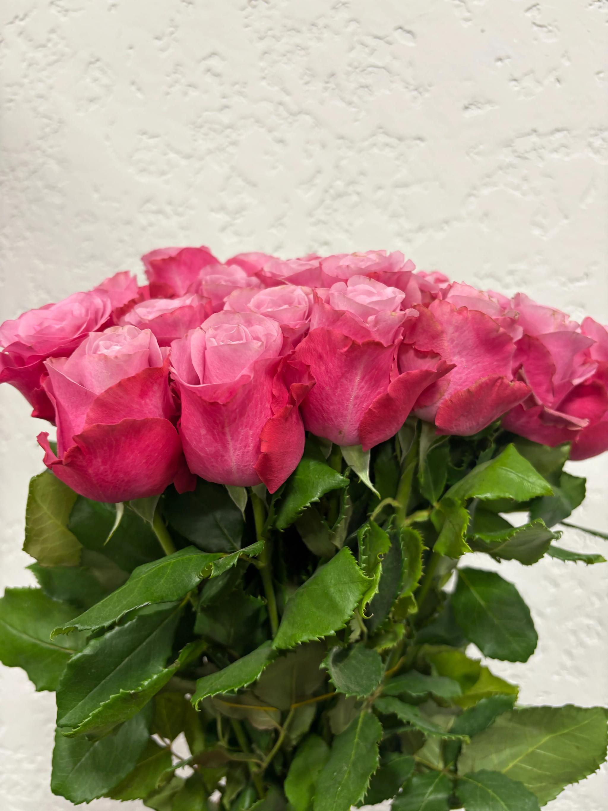 Bunch of roses | ծաղիկներ, ծաղկեպսակներ, բույսեր Երևան