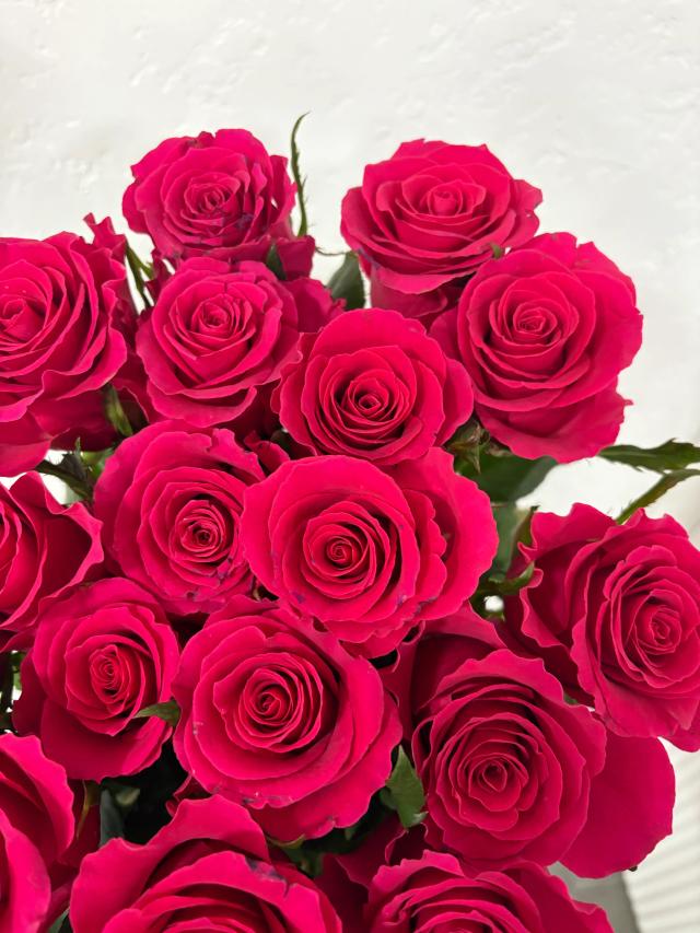 Bunch of roses | ծաղիկներ, ծաղկեպսակներ, բույսեր - առաքում Երևան