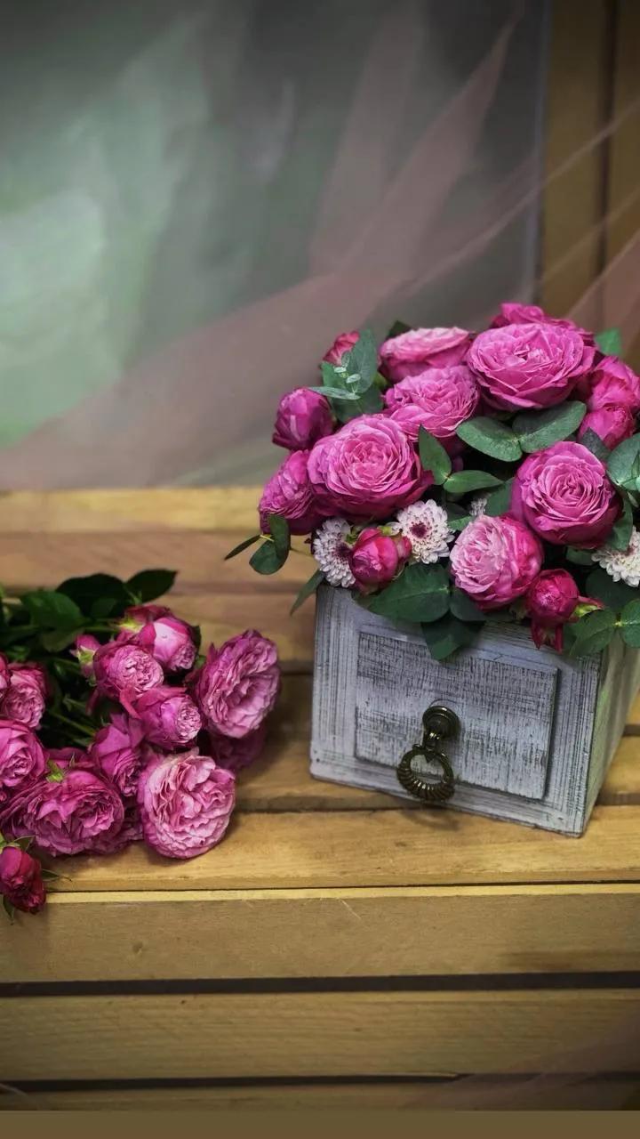 Փնջային վարդեր | ծաղիկներ, ծաղկեպսակներ, բույսեր Երևան