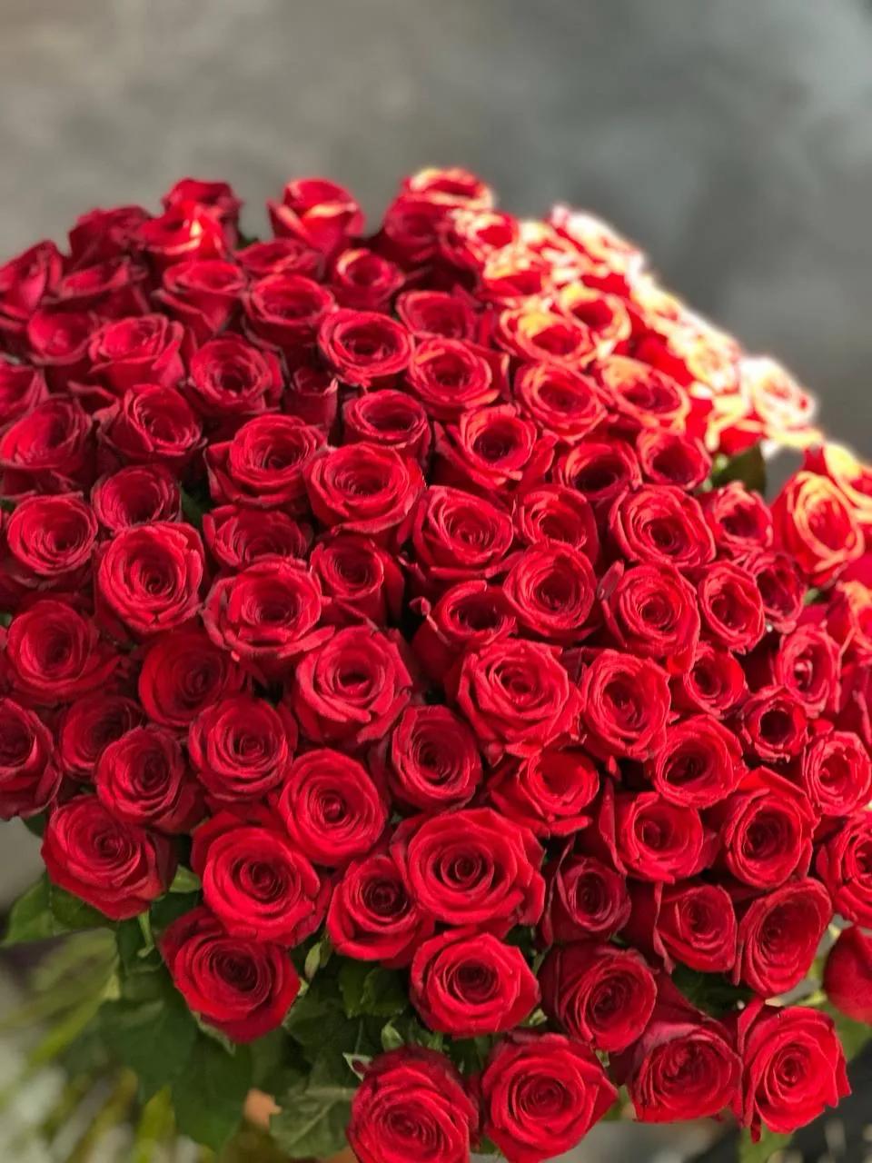 Red gorgeous roses | ծաղիկներ, ծաղկեպսակներ, բույսեր Երևան