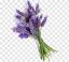 Lilac ծաղիկների | ծաղկեպսակների առաքում Երևան Lilac ծաղիկների | ծաղկեպսակների առաքում Երևան
